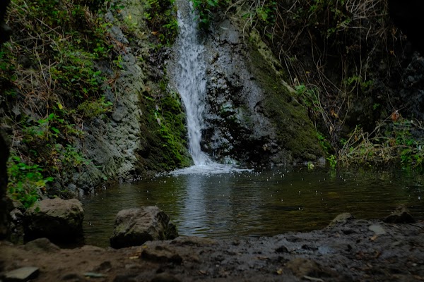 Azuaje Ravine (Firgas)