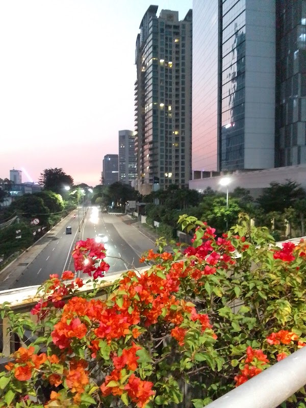 Jakarta 5