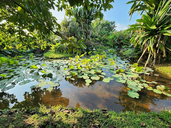 Bay East Garden 2