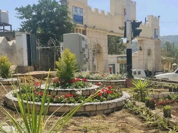 Harar