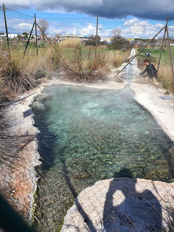 Piscine Carletti