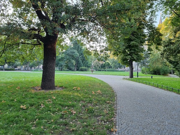 Karlín Square 5