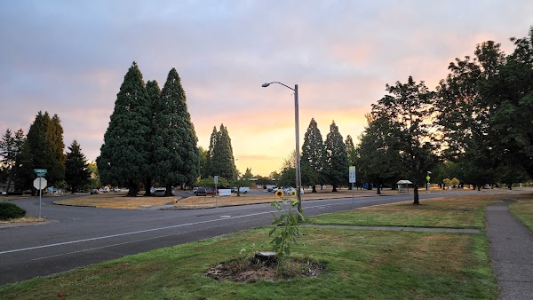 City Park