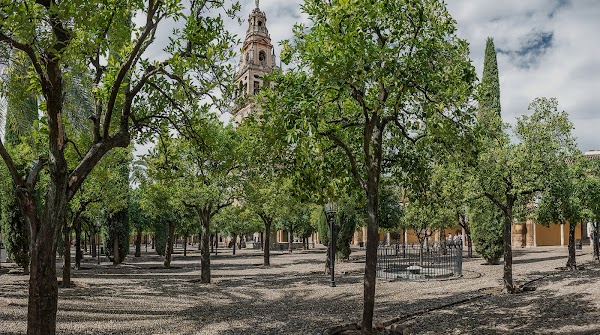 Patio de los Naranjos 1