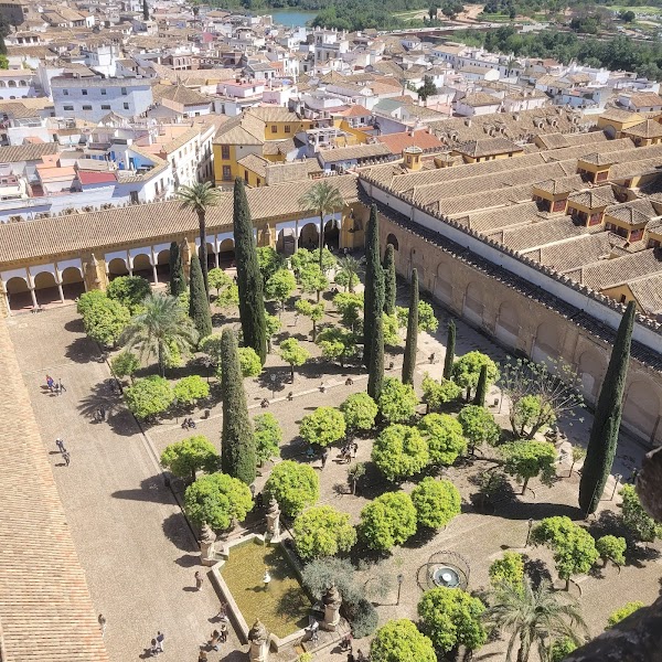 Patio de los Naranjos 5