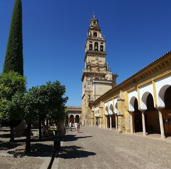 Patio de los Naranjos 3