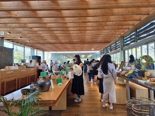 Innisfree Jeju House 4