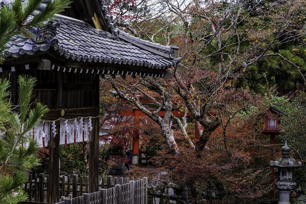 Kuwayama Jinja 1