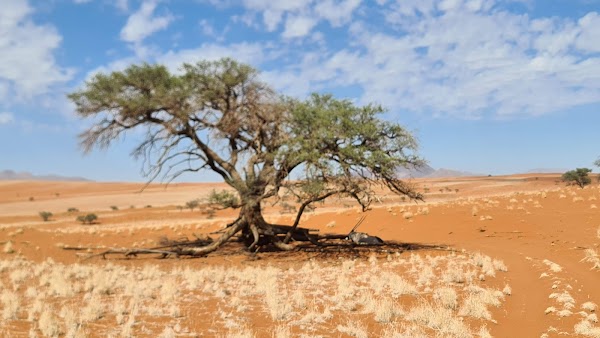 NamibRand Nature Reserve 5