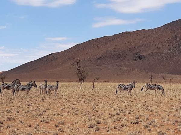 NamibRand Nature Reserve 4