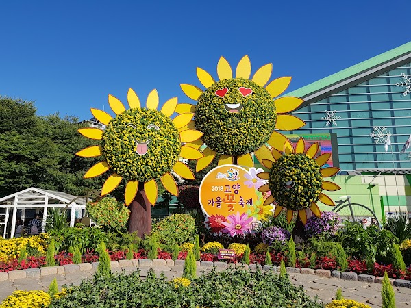 Ilsan Lake Park Goyang Flower Exhibition 2