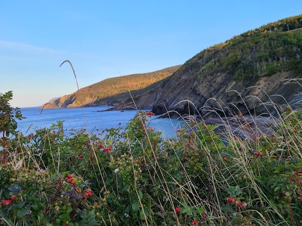 Meat Cove 4