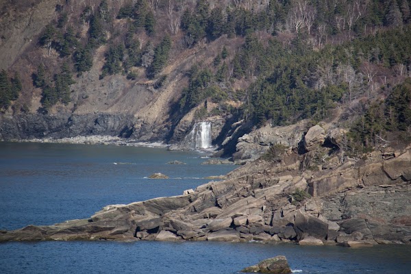 Meat Cove 3