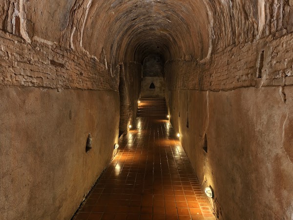 Wat Umong Suan Phutthatham 3