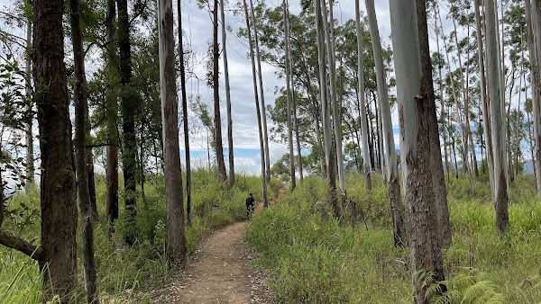 Ella Rock Trailhead 2