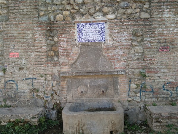Fuente del Avellano