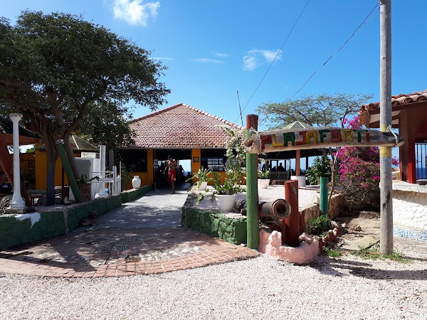 Curaçao 🪼 2