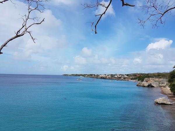 Playa Forti 2