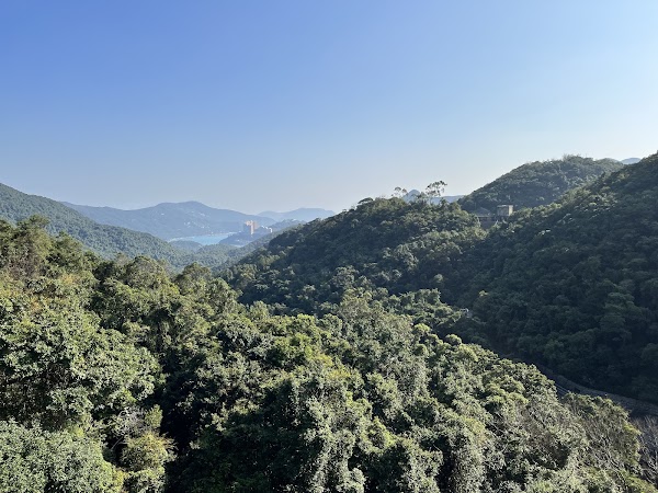 Tai Tam Waterworks Heritage Trail 5