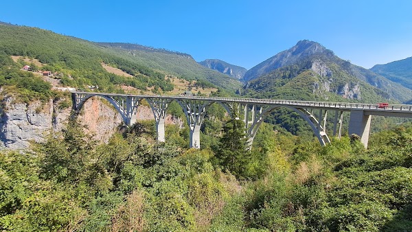 Durdevica tara bridge