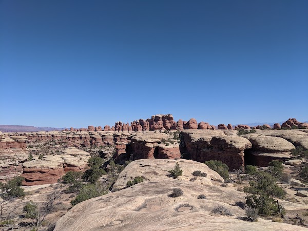 Joint Trail 5