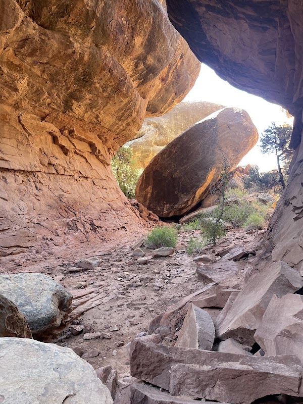 Joint Trail 4