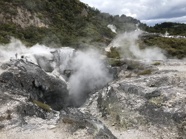 Pohutu Geyser 5