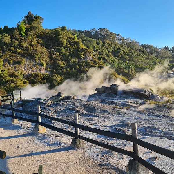 Pohutu Geyser 2