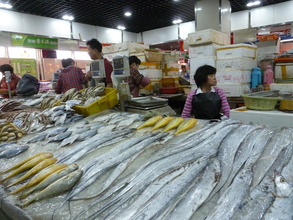 Shanghai French Concession Needle General Yard Former Site 4