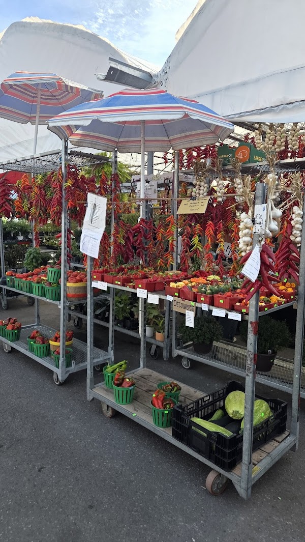 Jean Talon Market 5