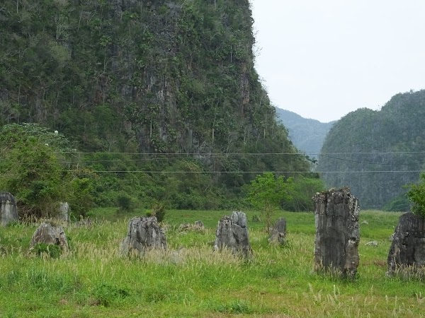 Viñales Valley 5