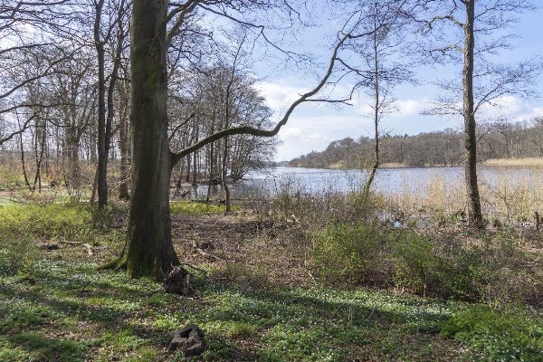Skarresø