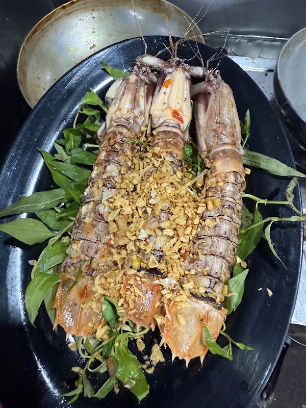 Ốc Oanh 5