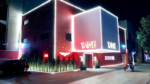 TANE 5