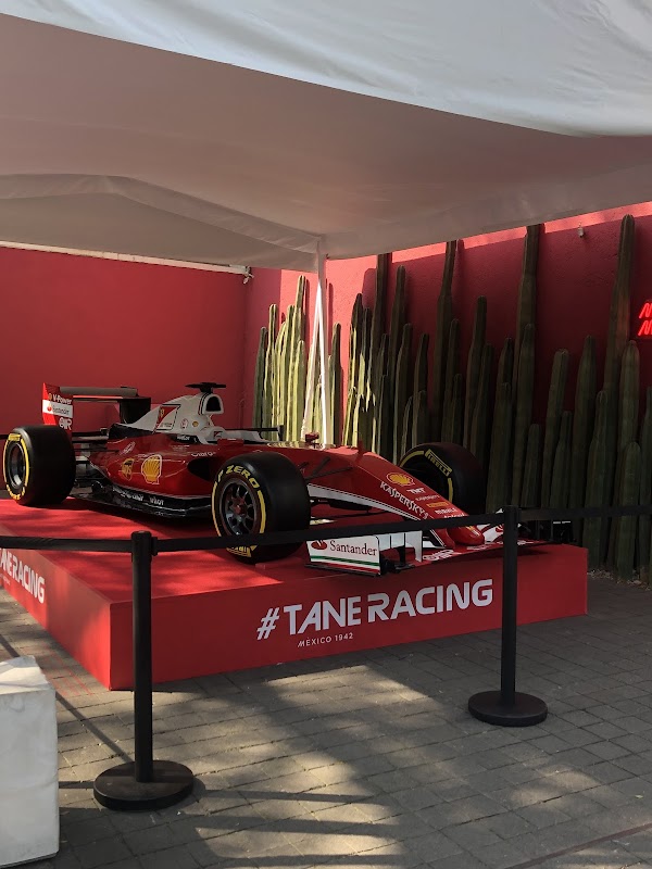TANE 2