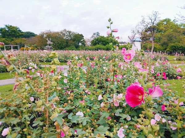 Chatuchak Park 3