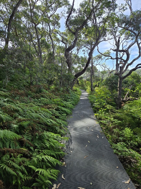 Middle Head - Gubbuh Gubbuh to Georges Head walking track 1