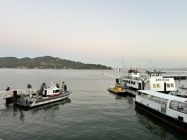 Malibu Farm Tiburon 4