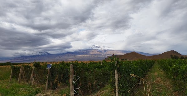 viewpoint Ararat