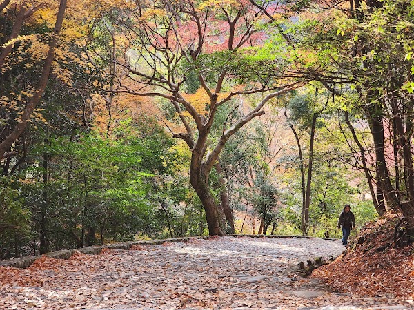 Arashiyama Park Kameyama Area 3