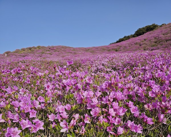 황매산군립공원 주차장 1