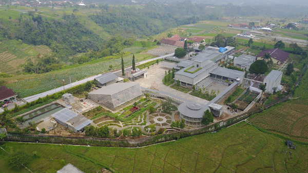 Rumah Atsiri Indonesia 1