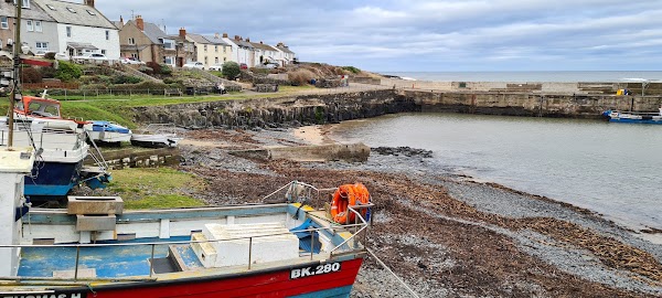 Craster