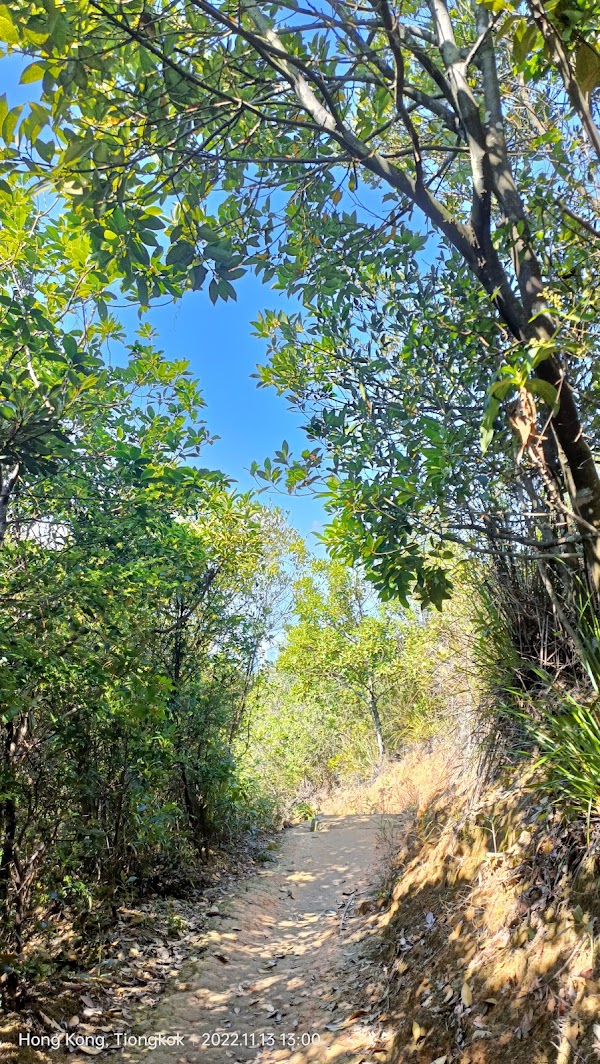 Braemar Hill Road 4