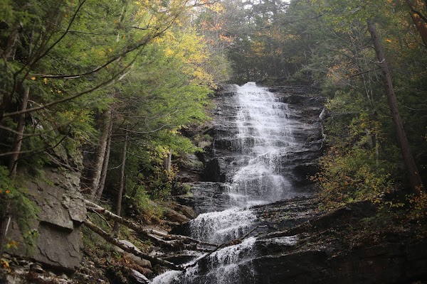 Green Mountain National Forest 5