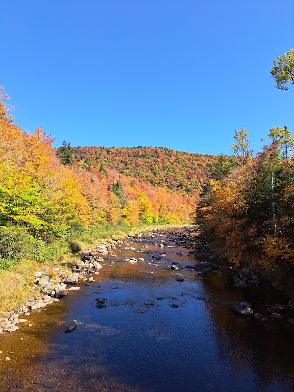 Green Mountain National Forest 2