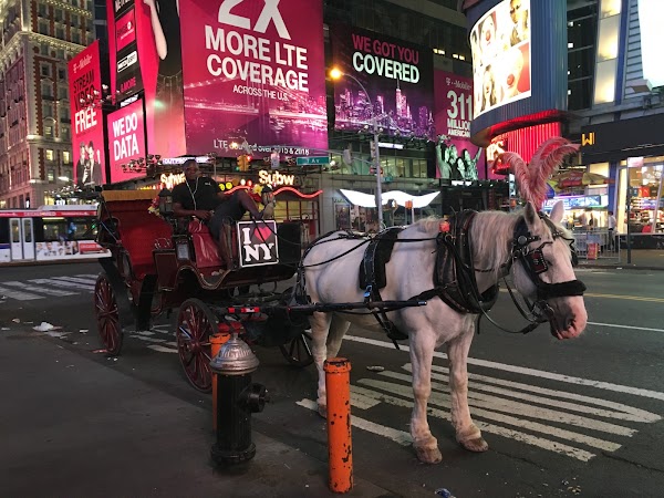 Times Square 2