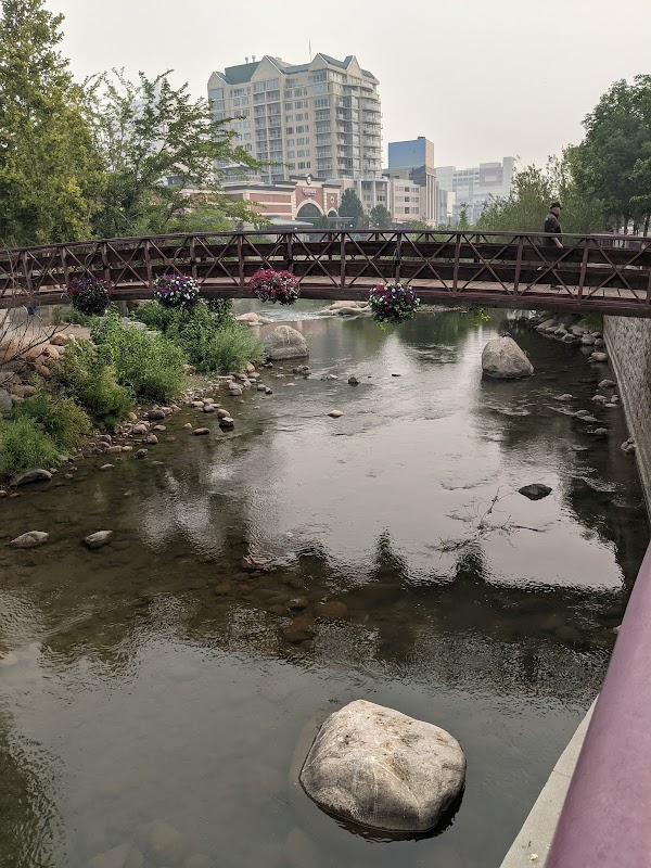 Reno 5