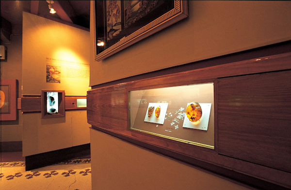 Museo del Ámbar Dominicano 4
