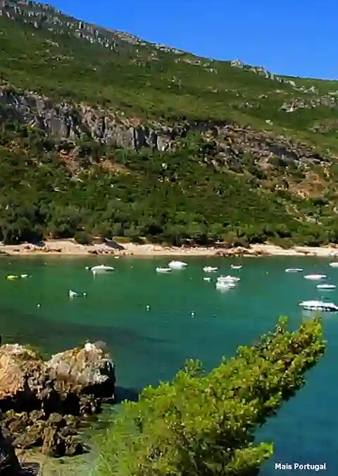 Rua Serra da Arrábida